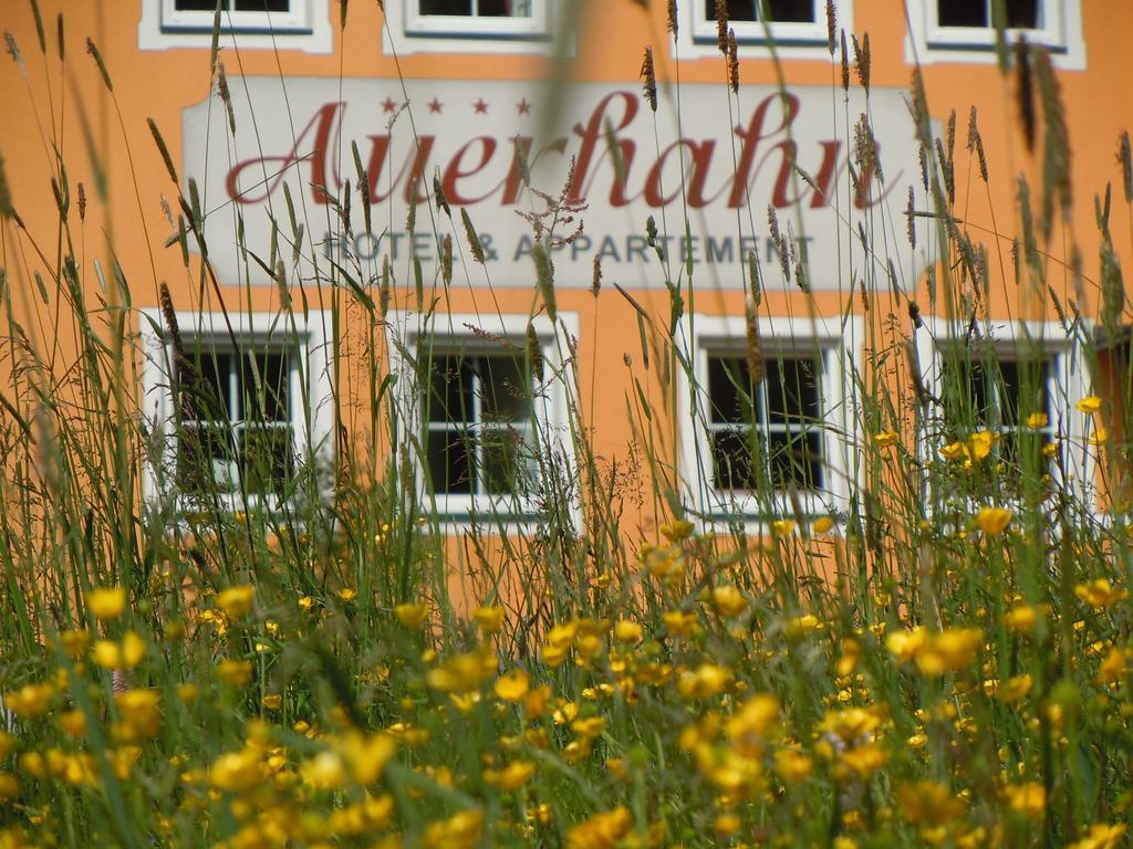 Hotel & Appartement Auerhahn Obertauern Dış mekan fotoğraf
